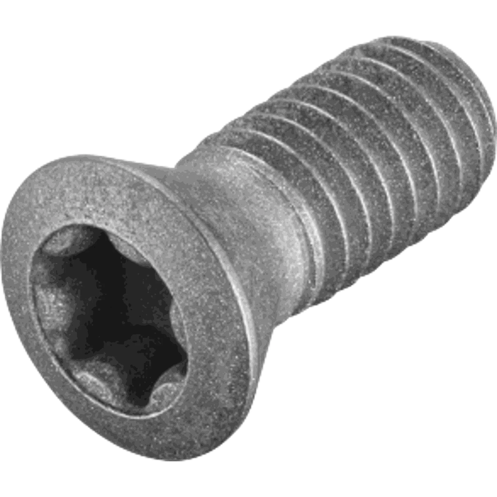 Tornillos con cabeza